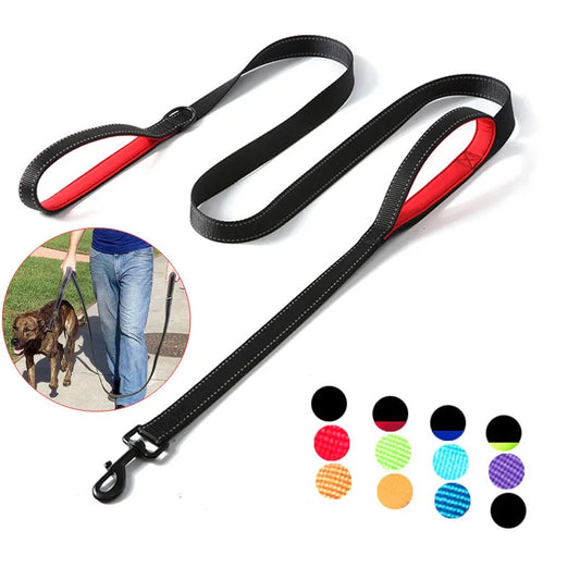 laisse nylon double poignee dressage