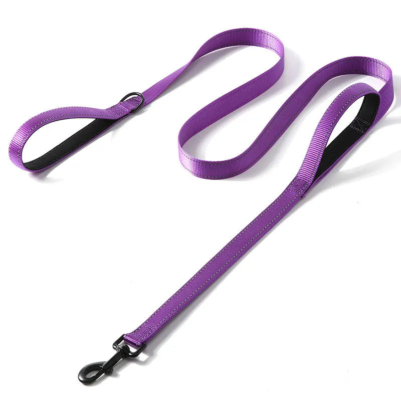 laisse nylon double poignee dressage violet