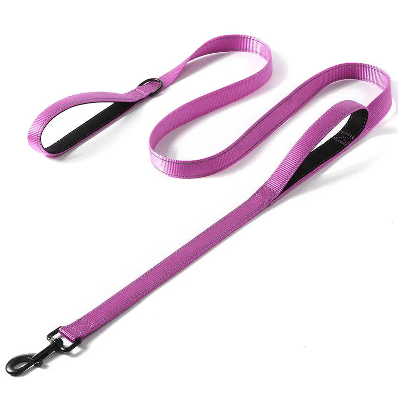 laisse nylon double poignee dressage violet