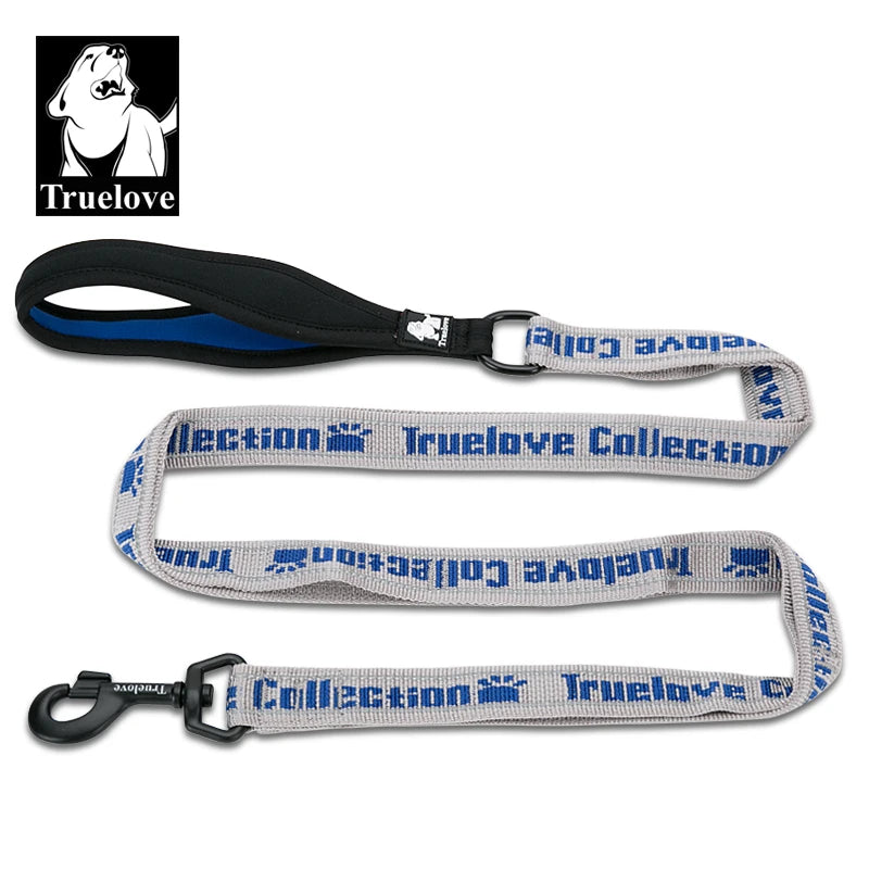 laisse nylon double poignee reflechissante gris bleu