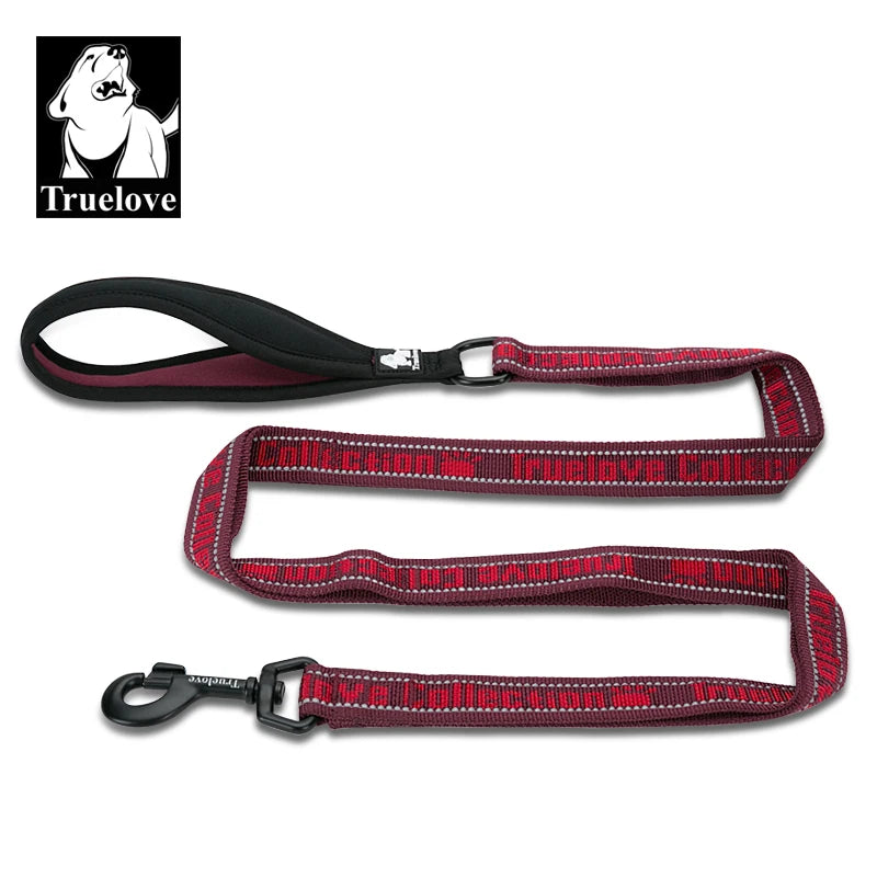 laisse nylon double poignee reflechissante violet