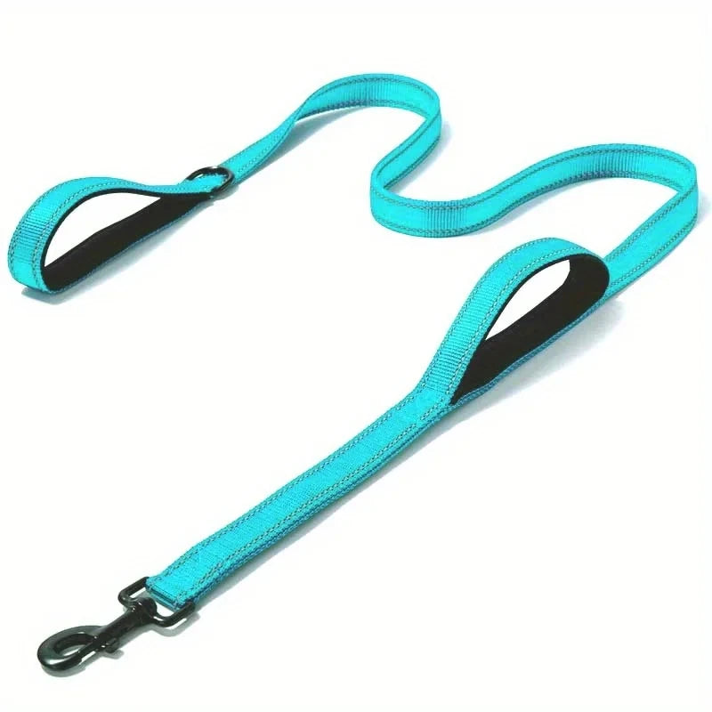 laisse nylon dressage double poignee bleu