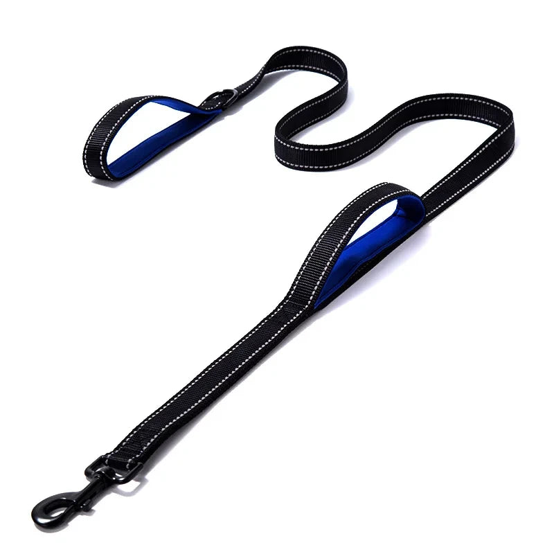 laisse nylon dressage double poignee noir et bleu