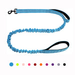 laisse élastique pour chien - Vignette | laisse pour chien. fr