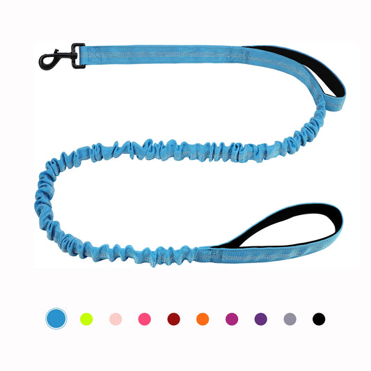 laisse nylon elastique double poignee bleu
