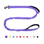 laisse élastique pour chien - Vignette | laisse pour chien. fr