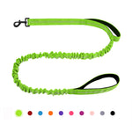 laisse élastique pour chien - Vignette | laisse pour chien. fr