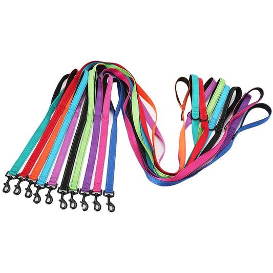 laisse nylon entrainement double poignee