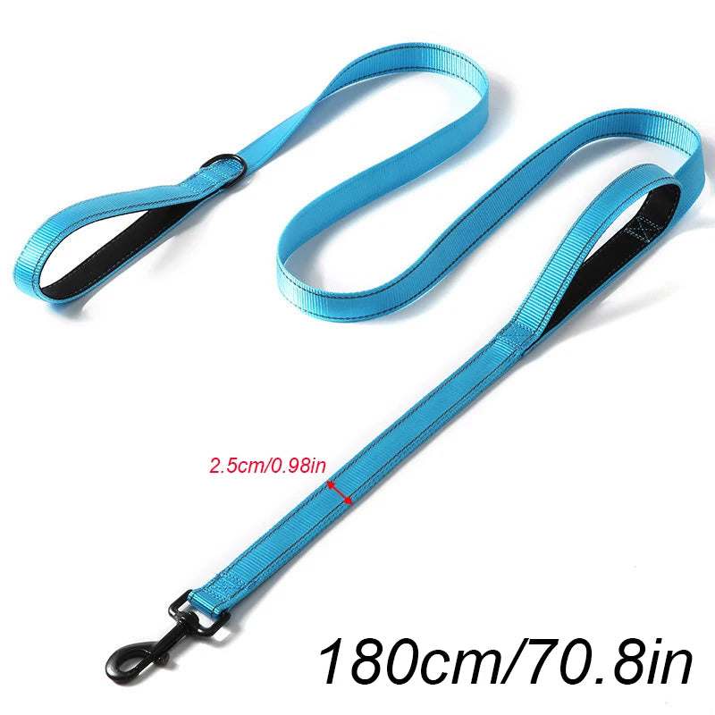 laisse nylon entrainement double poignee bleu ciel et noir