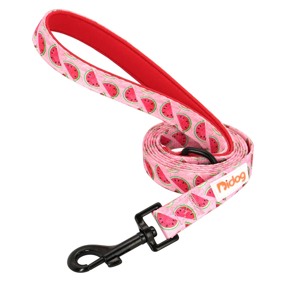 laisse nylon imprimee 1,50m rouge