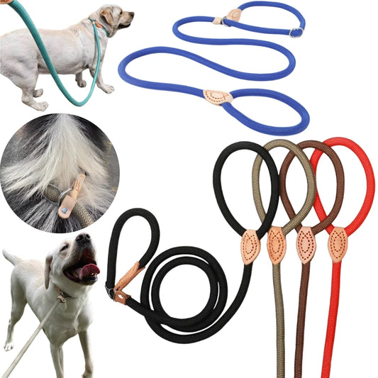 laisse nylon lasso couleur