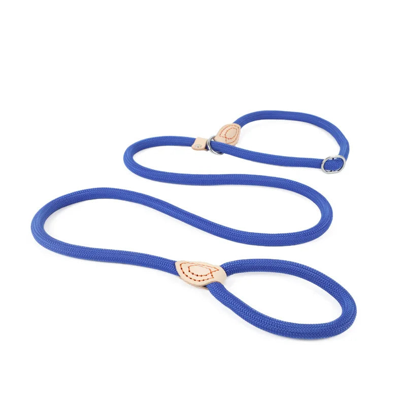 laisse nylon lasso couleur bleu