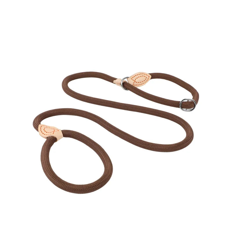 laisse nylon lasso couleur café