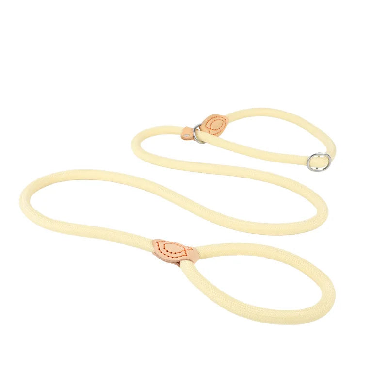 laisse nylon lasso couleur jaune