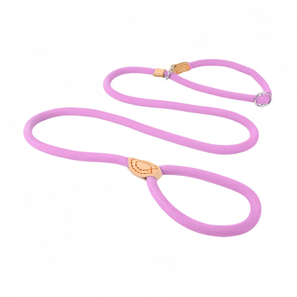 laisse nylon lasso couleur violet