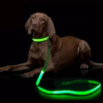 laisse pour chien lumineuse - Vignette | laisse pour chien. fr