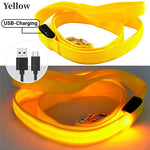 laisse pour chien lumineuse - Vignette | laisse pour chien. fr