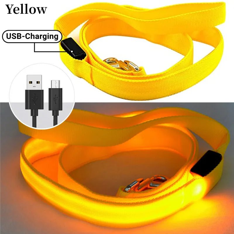 laisse nylon lumineuse USB jaune