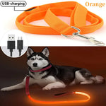 laisse pour chien lumineuse - Vignette | laisse pour chien. fr