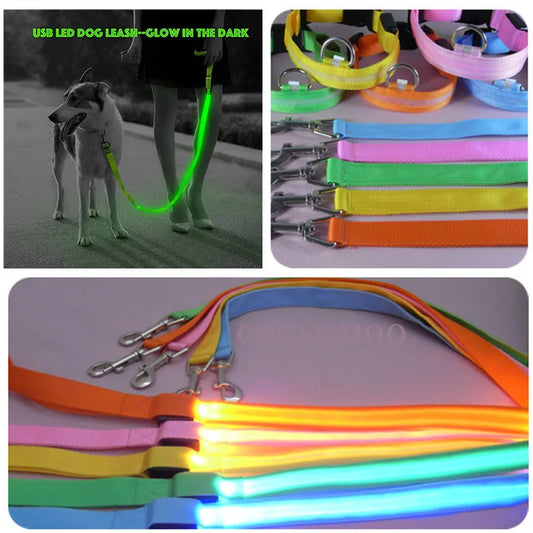 laisse nylon lumineuse USB ou pile