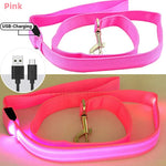 laisse pour chien lumineuse - Vignette | laisse pour chien. fr