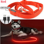 laisse pour chien lumineuse - Vignette | laisse pour chien. fr