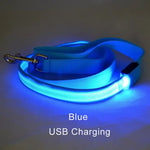 laisse pour chien lumineuse - Vignette | laisse pour chien. fr