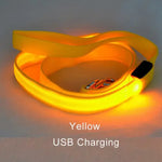 laisse pour chien lumineuse - Vignette | laisse pour chien. fr