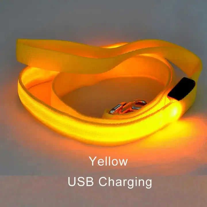 laisse nylon lumineuse jaune