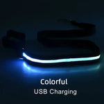 laisse pour chien lumineuse - Vignette | laisse pour chien. fr