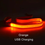 laisse pour chien lumineuse - Vignette | laisse pour chien. fr