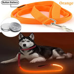 laisse pour chien lumineuse - Vignette | laisse pour chien. fr