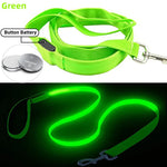 laisse pour chien lumineuse - Vignette | laisse pour chien. fr