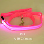 laisse pour chien lumineuse - Vignette | laisse pour chien. fr