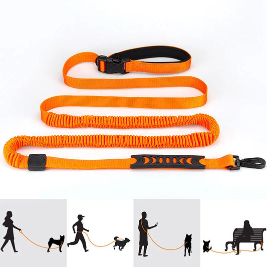 laisse nylon mains libres elastique