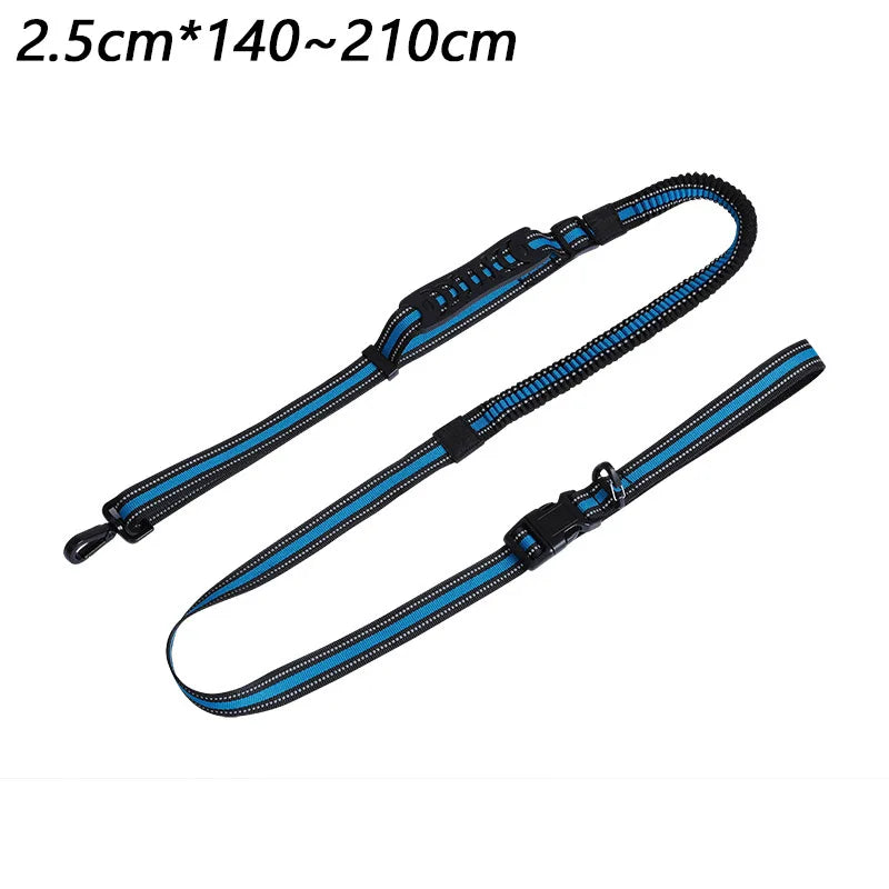 laisse nylon mains libres elastique noir et bleu