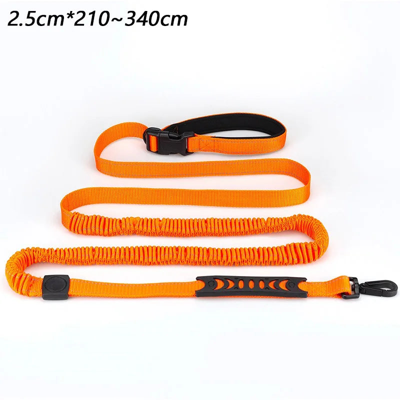 laisse nylon mains libres elastique orange