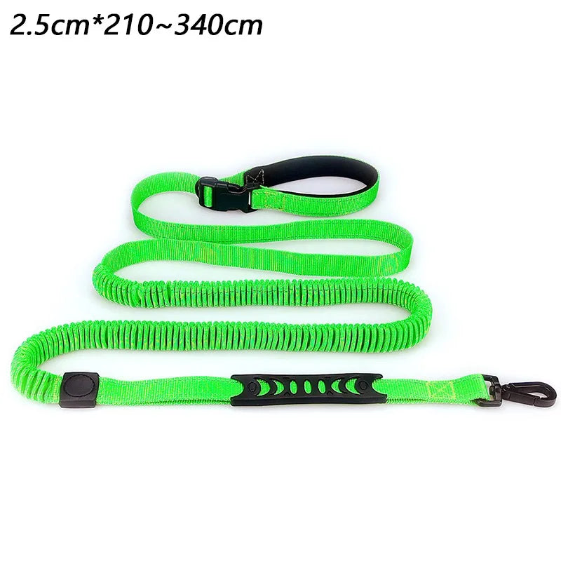 laisse nylon mains libres elastique vert clair
