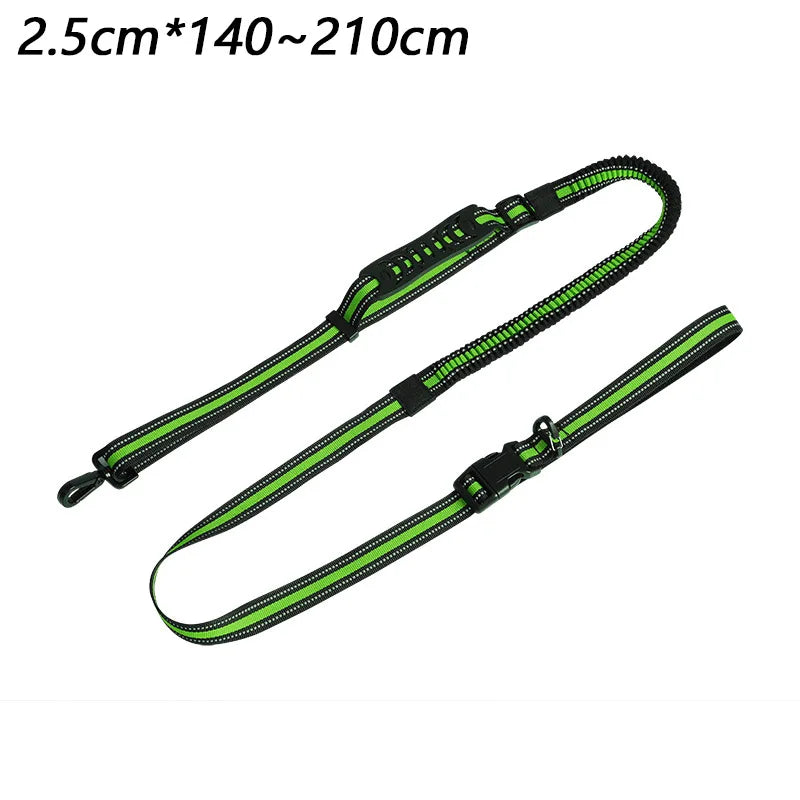 laisse nylon mains libres elastique noir et vert