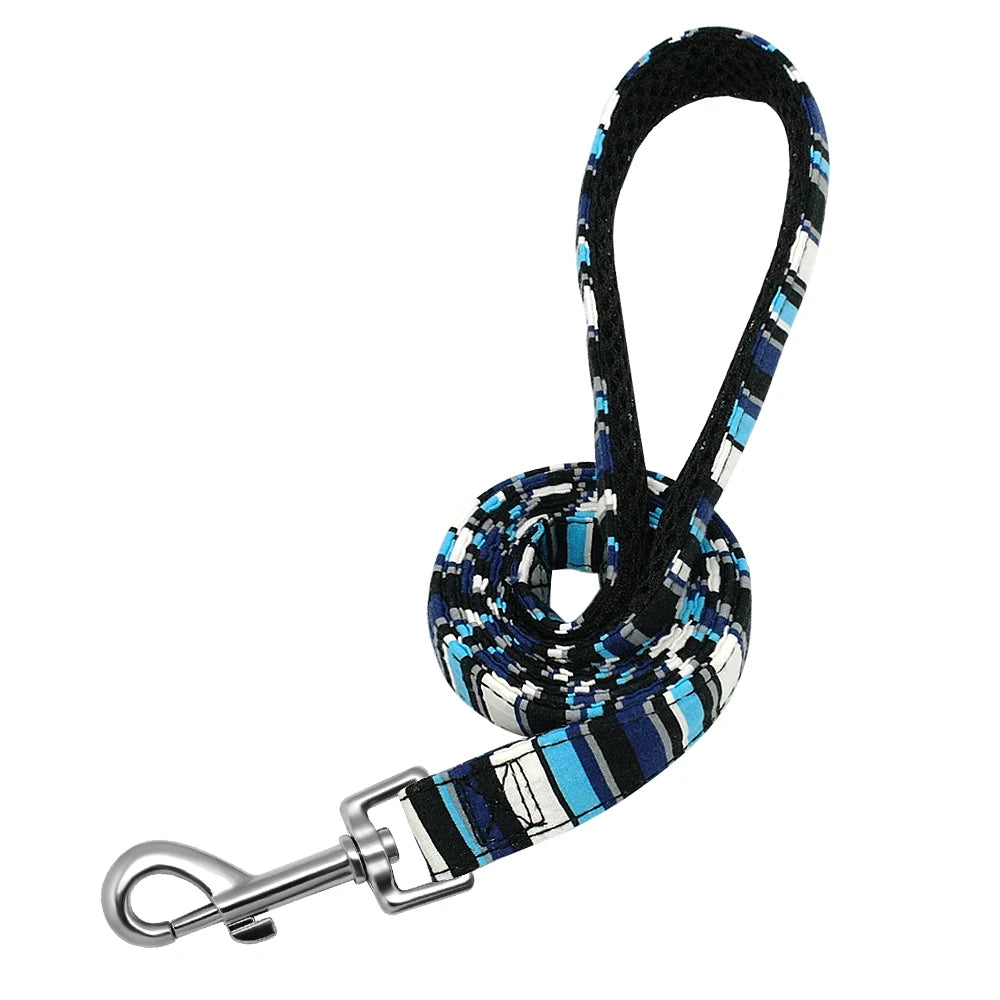 laisse nylon à motif bleu strip