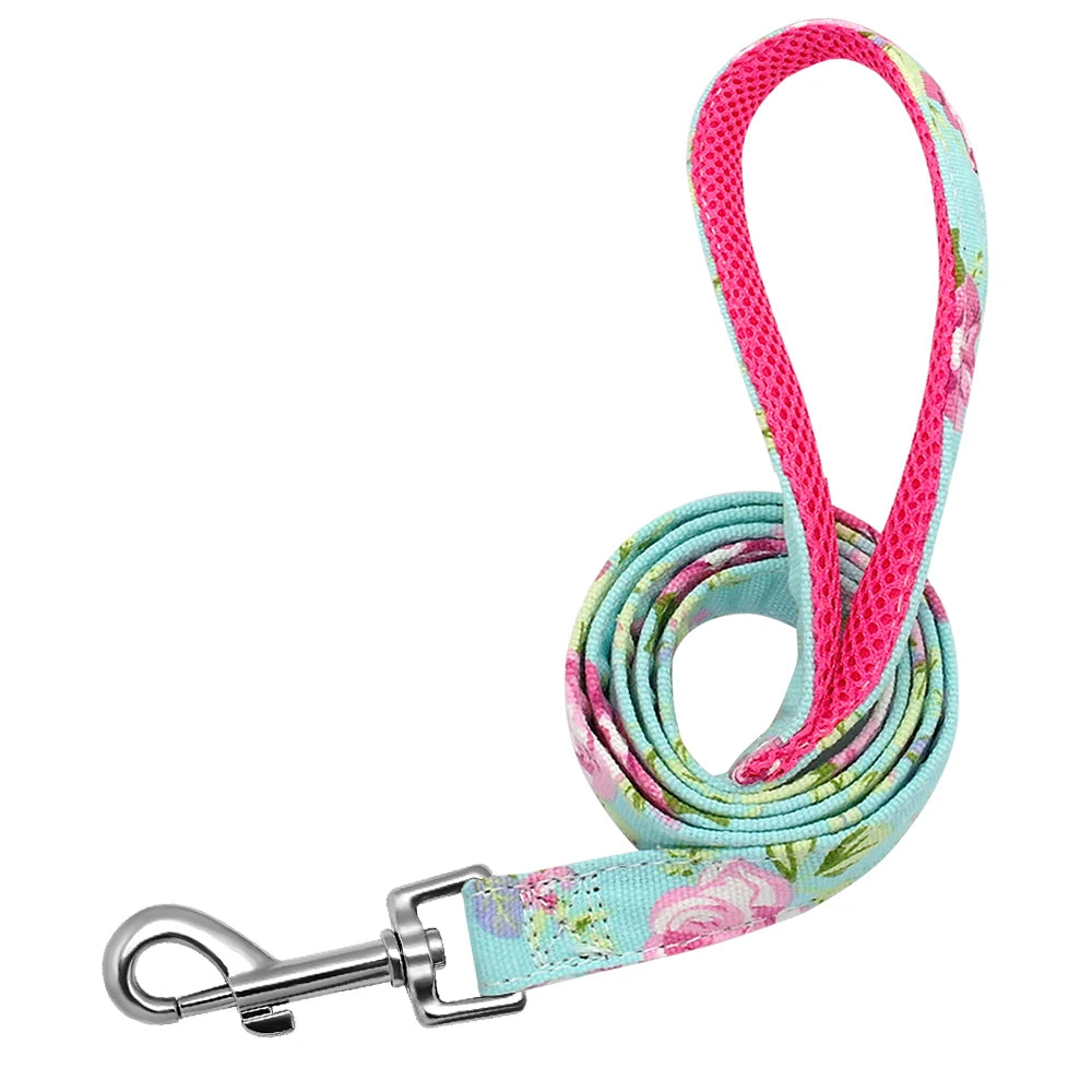 laisse nylon à motif rose et vert