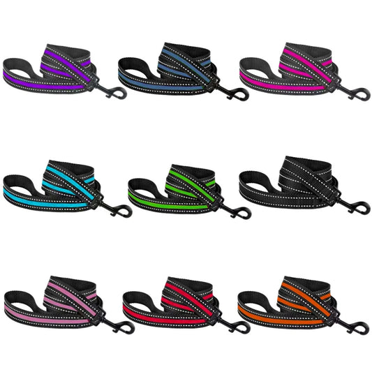 laisse nylon reflechissante