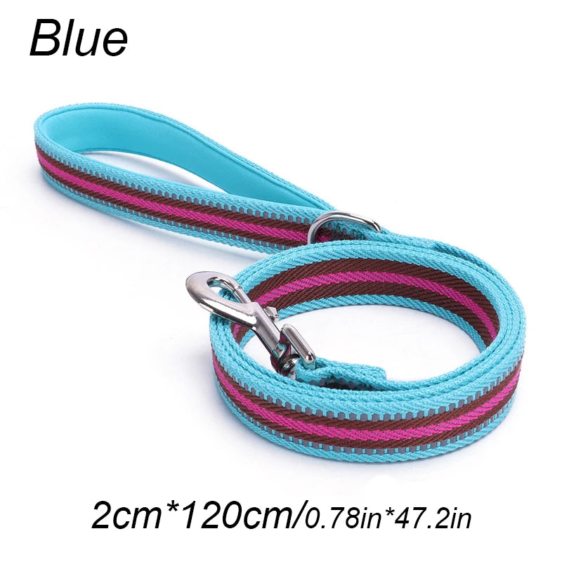 laisse nylon reflechissante a motif bandes bleu ciel