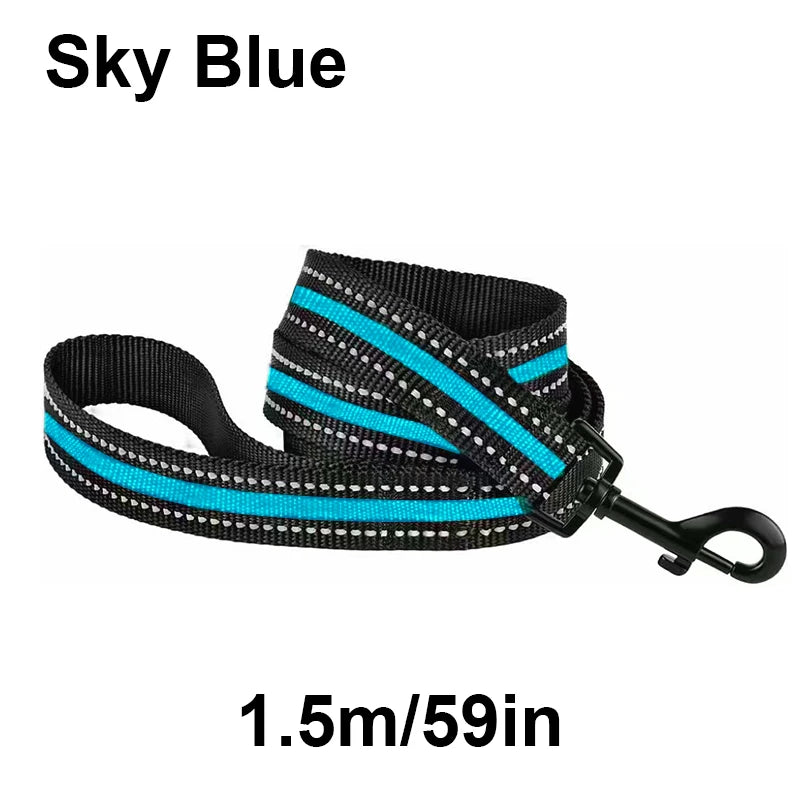 laisse nylon reflechissante bleu ciel