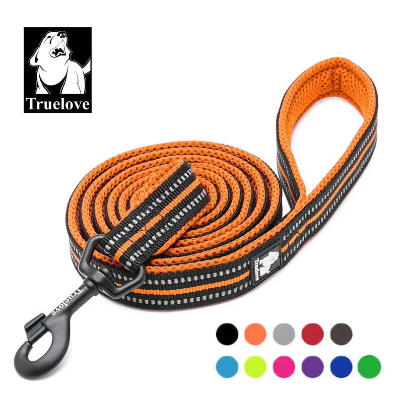 laisse nylon reflechissante couleur