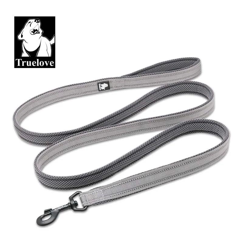 laisse nylon reflechissante couleur gris