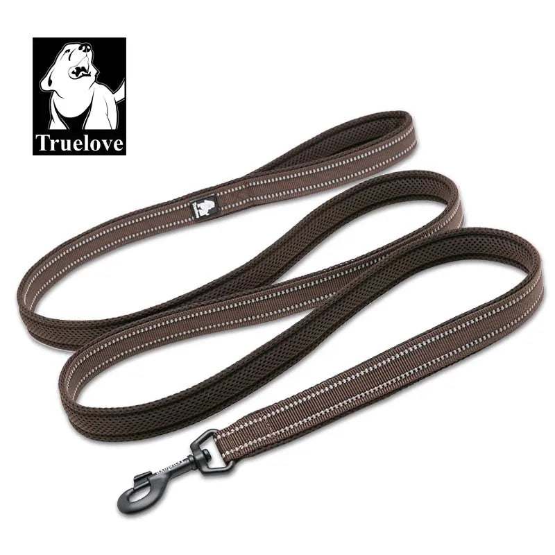 laisse nylon reflechissante couleur marron