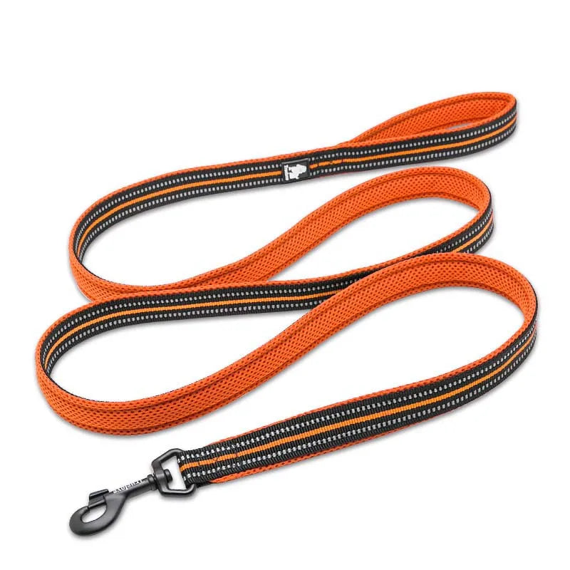 laisse nylon reflechissante couleur orange