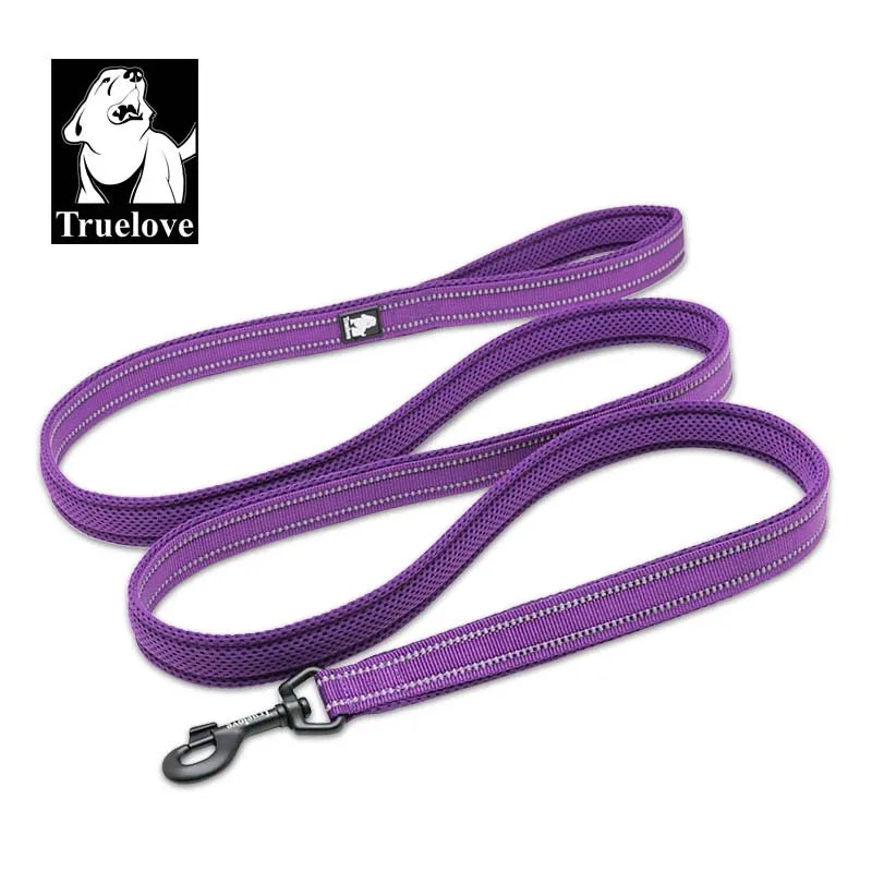 laisse nylon reflechissante couleur violet