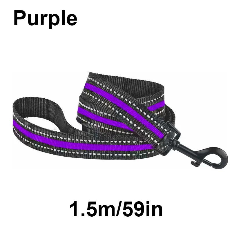 laisse nylon reflechissante violet
